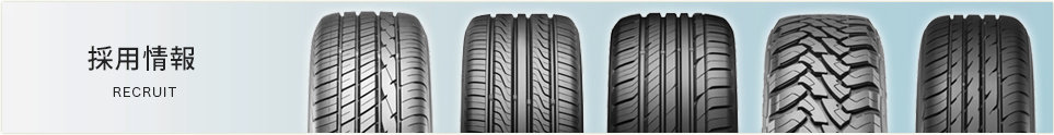 採用情報